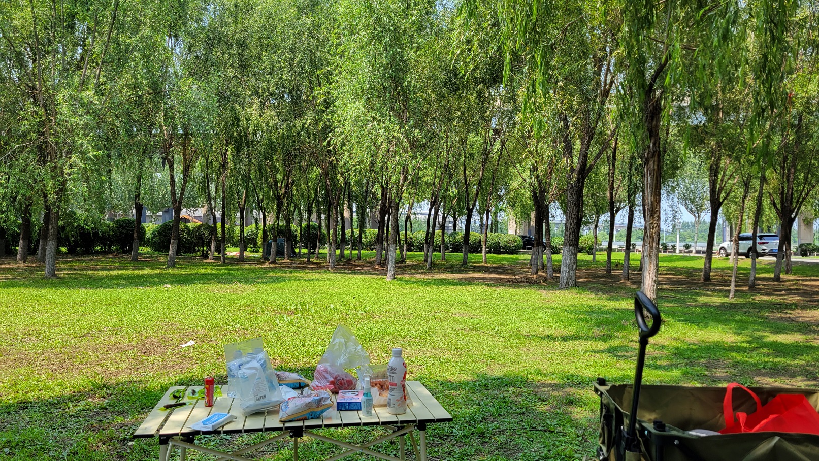 20230718_115950.jpg