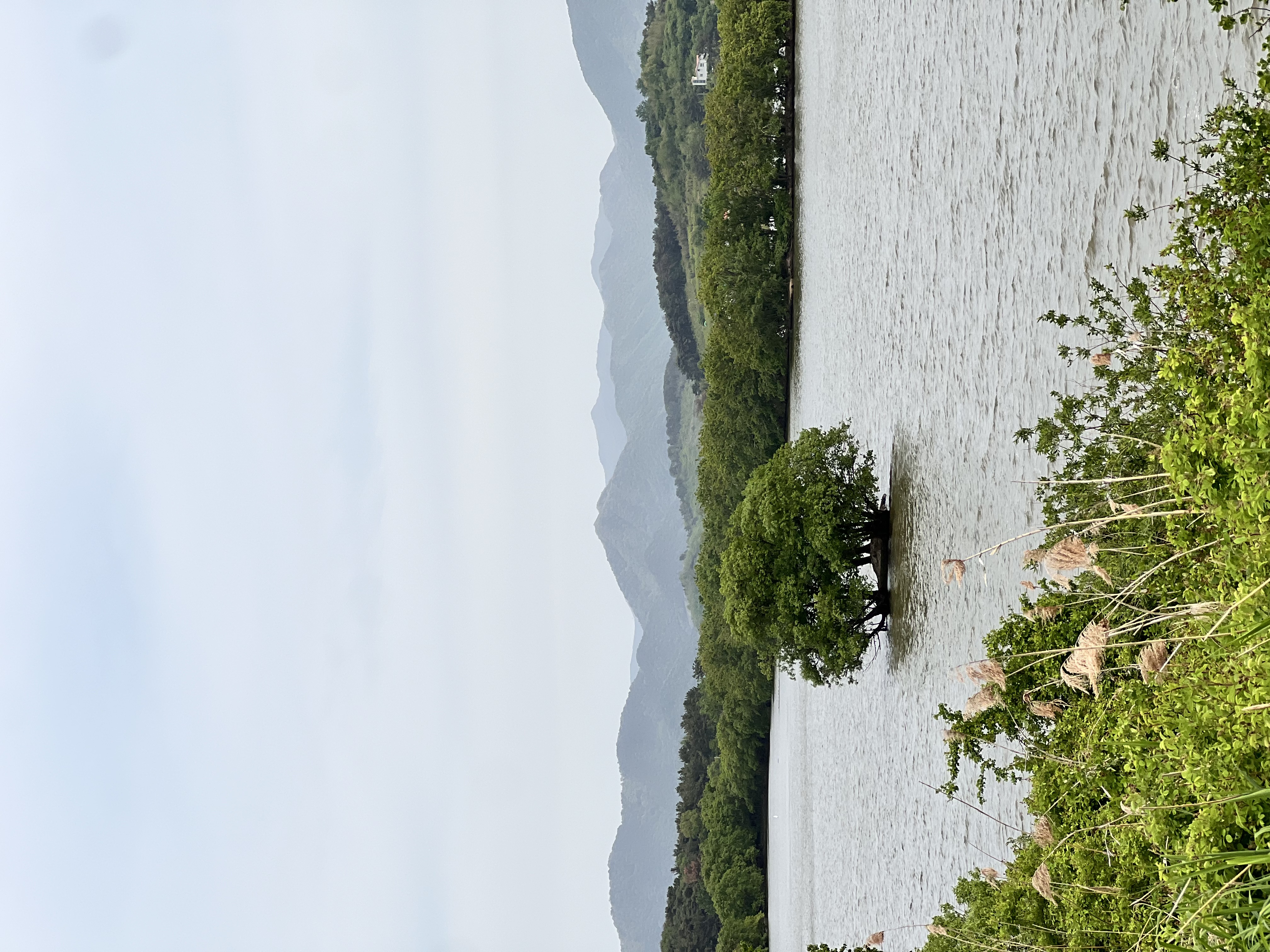 IMG_6027.jpeg