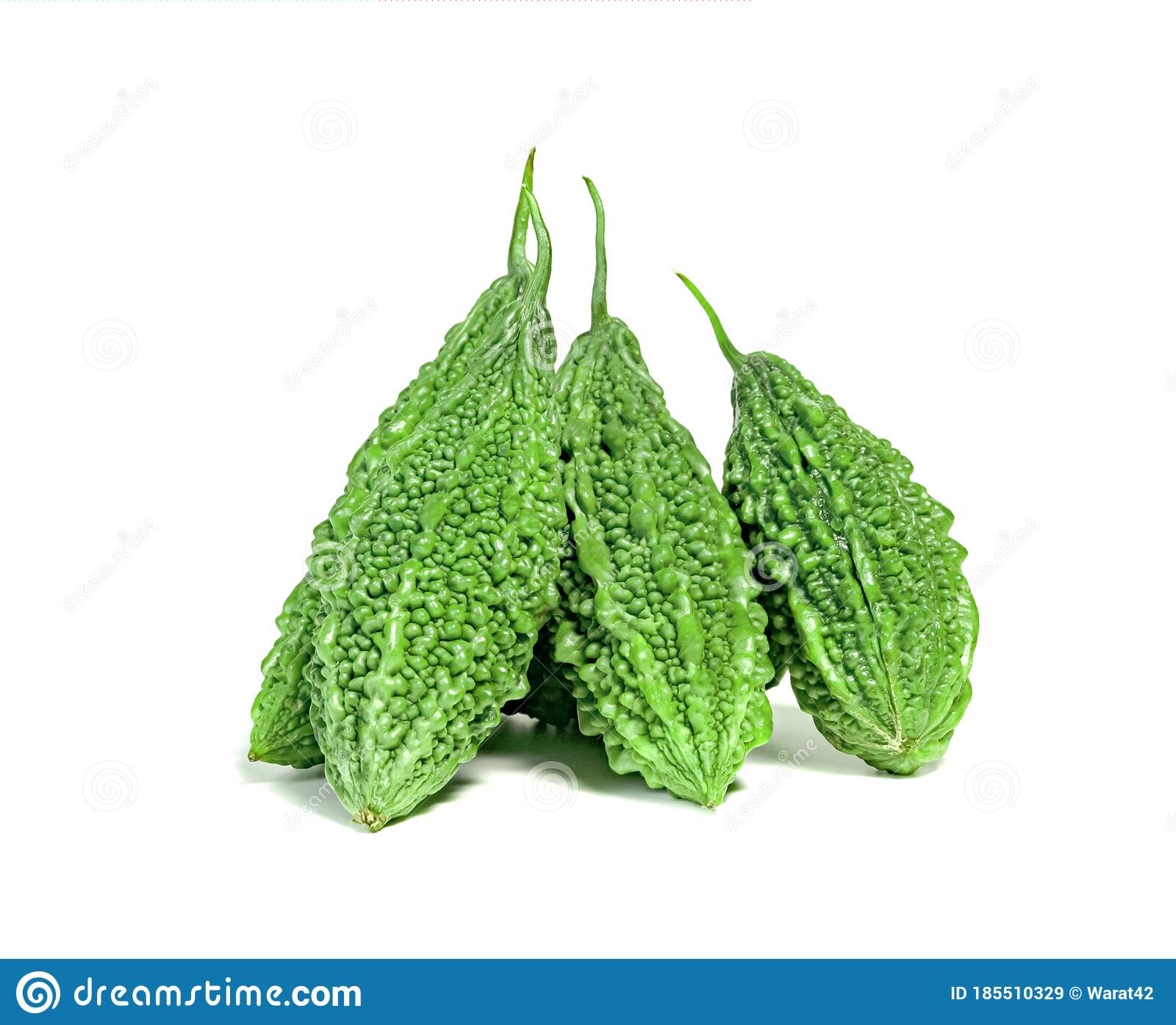 bitter-gourd-melon-momordica-charantia-isolated-white-background-185510329 (1).jpg