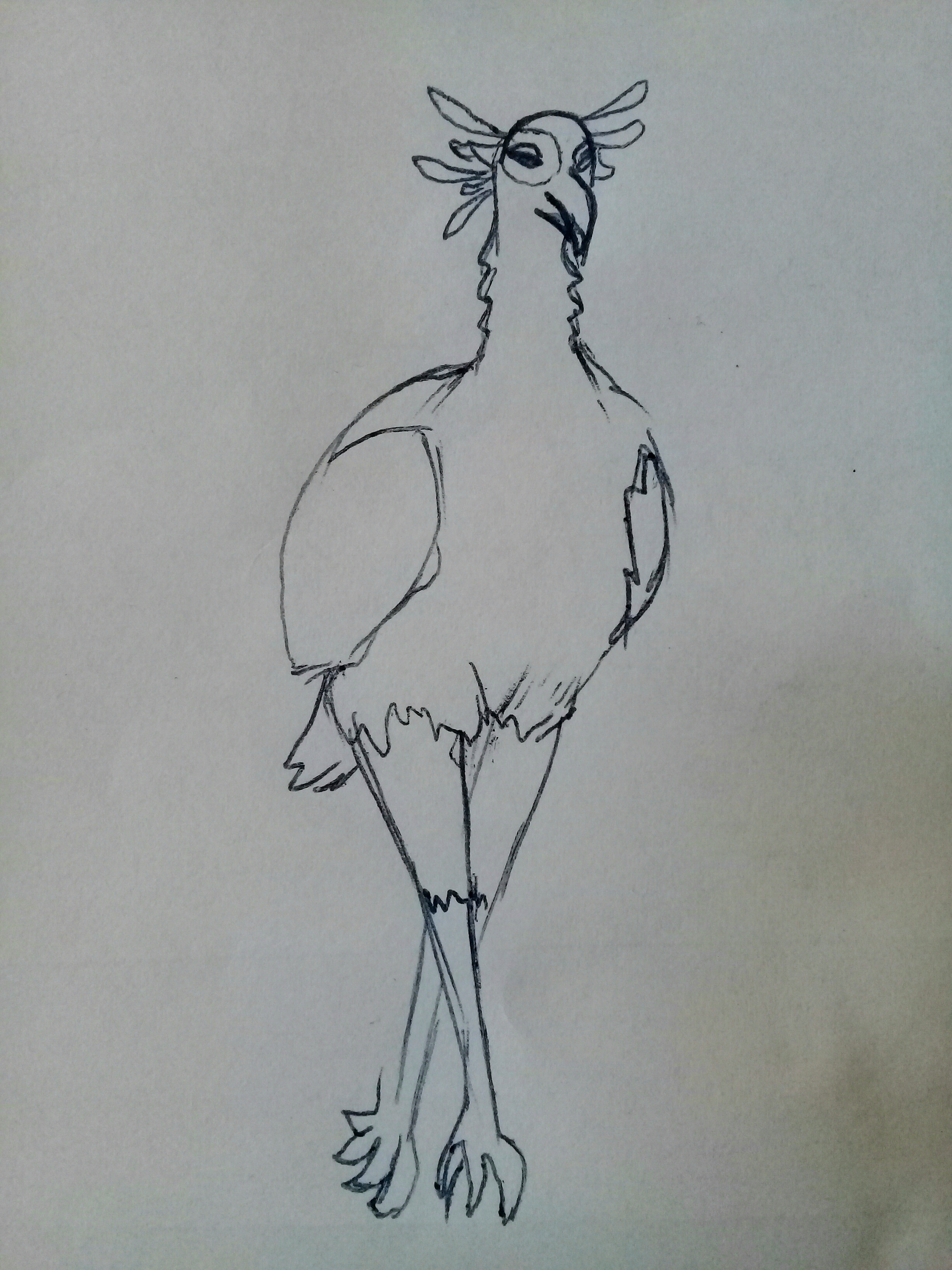 20201208_091808.jpg