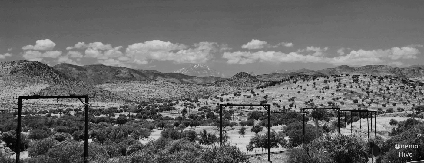 semi-desertic-005-bw.jpg