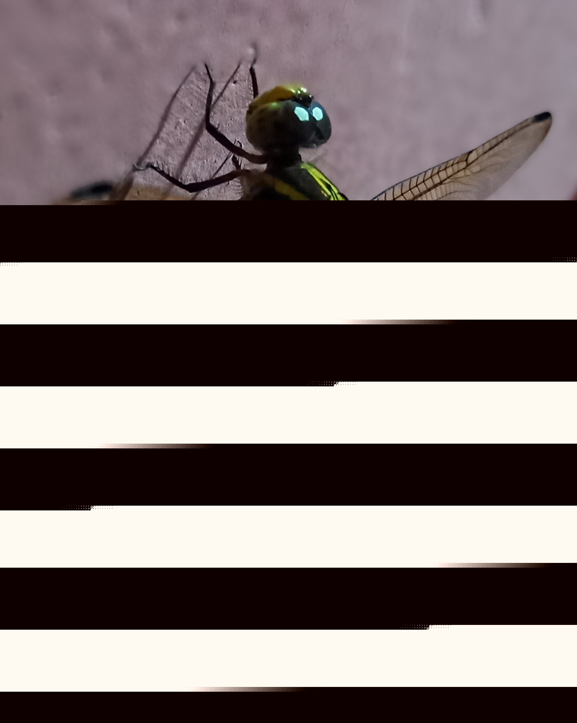 20250714_220501~3.jpg