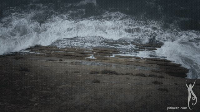 juragajubypriscillahernandez (1).gif