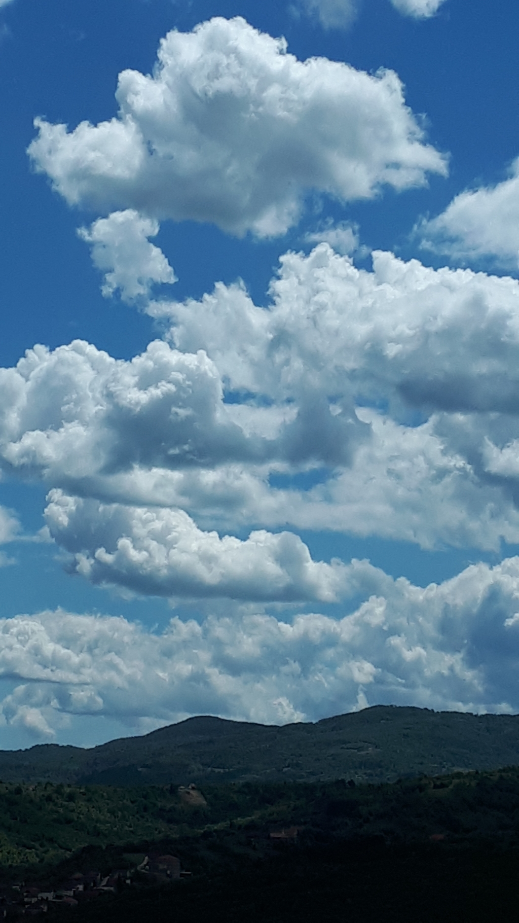 20250518_132324.jpg