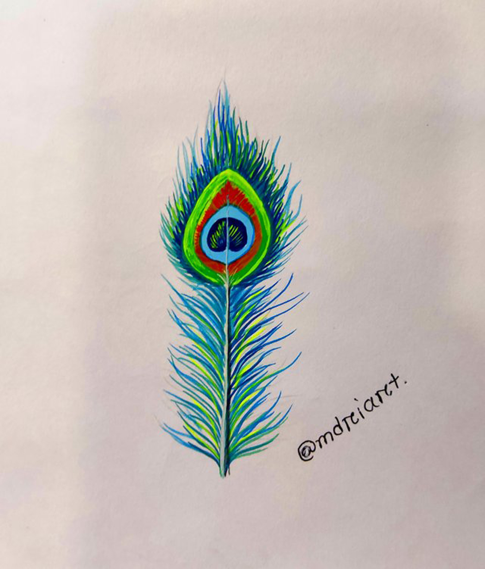 peacock | Color pencil sketch, Color pencil art, Color pencil drawing
