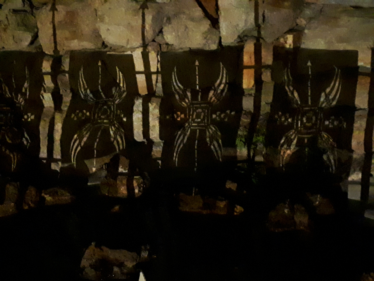 20250716_210917.jpg