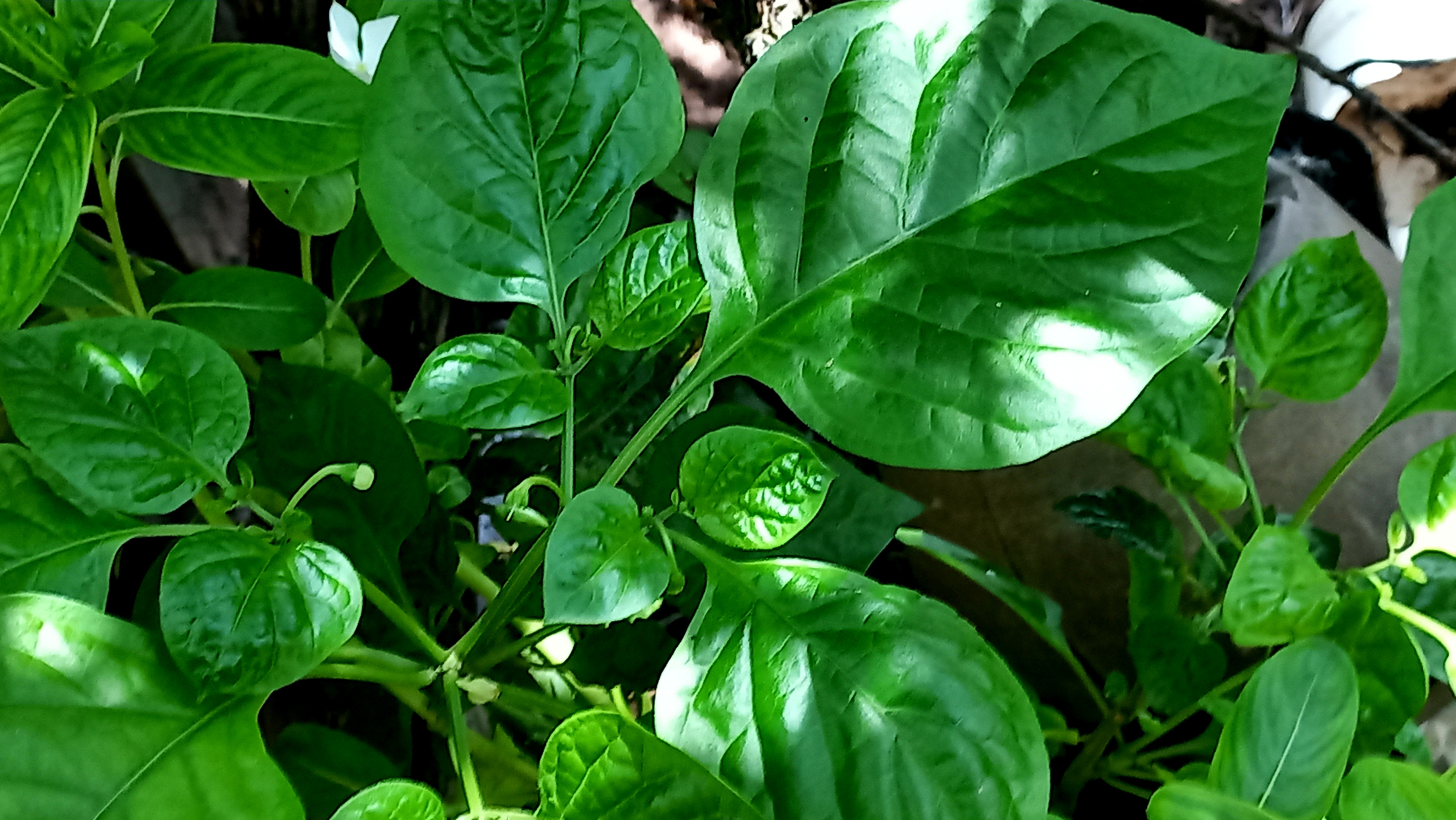 20250622_123405.jpg