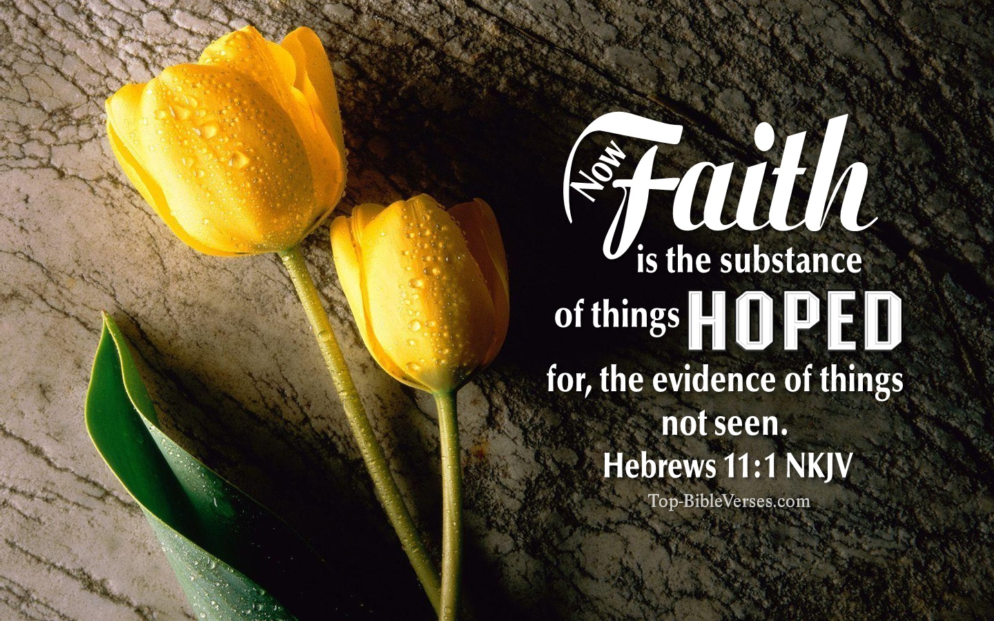 Hebrews-11-1-NKJV-Christian-Bible-Verse-Desktop-Wallpaper-1.jpg
