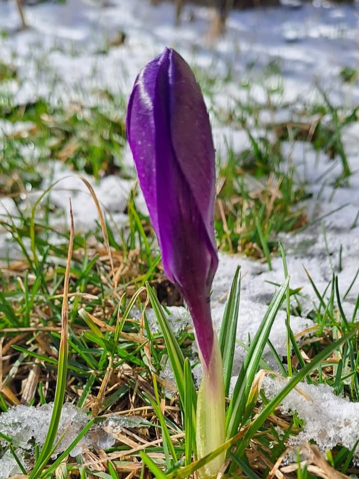 20250319_193105.jpg