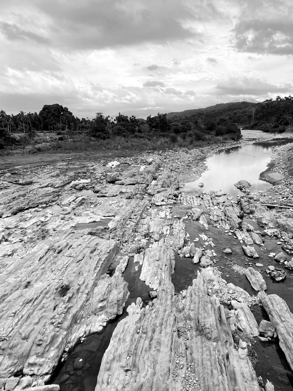 IMG-20250611-WA0195(1)~2.jpg