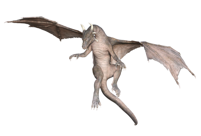 dragon-5350608_640.png