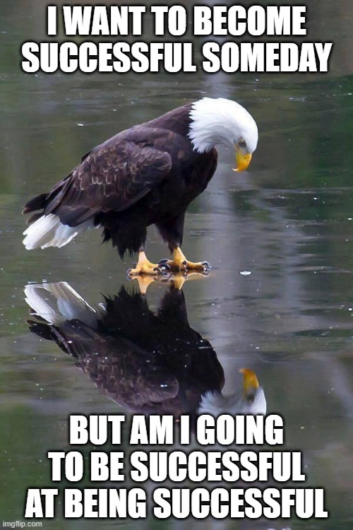 crisis eagle.jpg