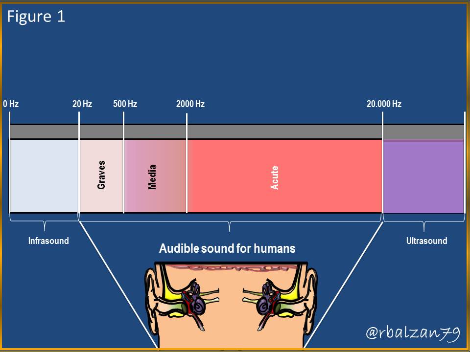 Figure_1.JPG