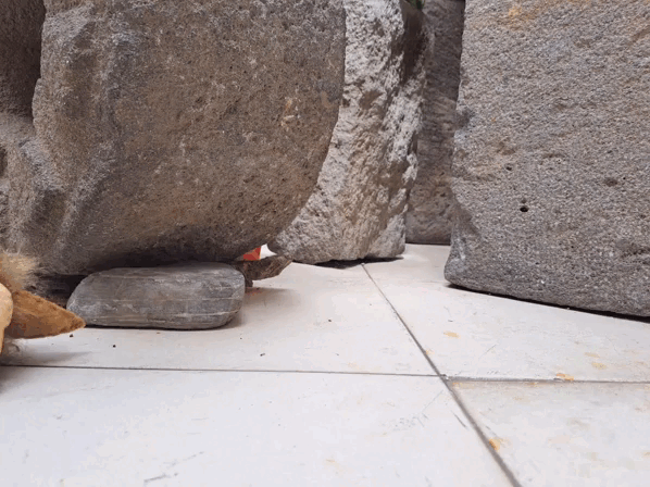 InShot_20250612_231204629.gif