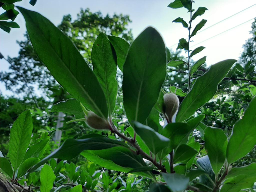 20210615_171610.jpg