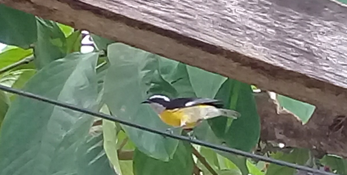 20210617_105535.jpg