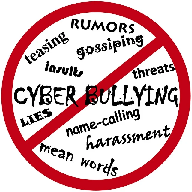 cyber-bullying-122156_640.webp