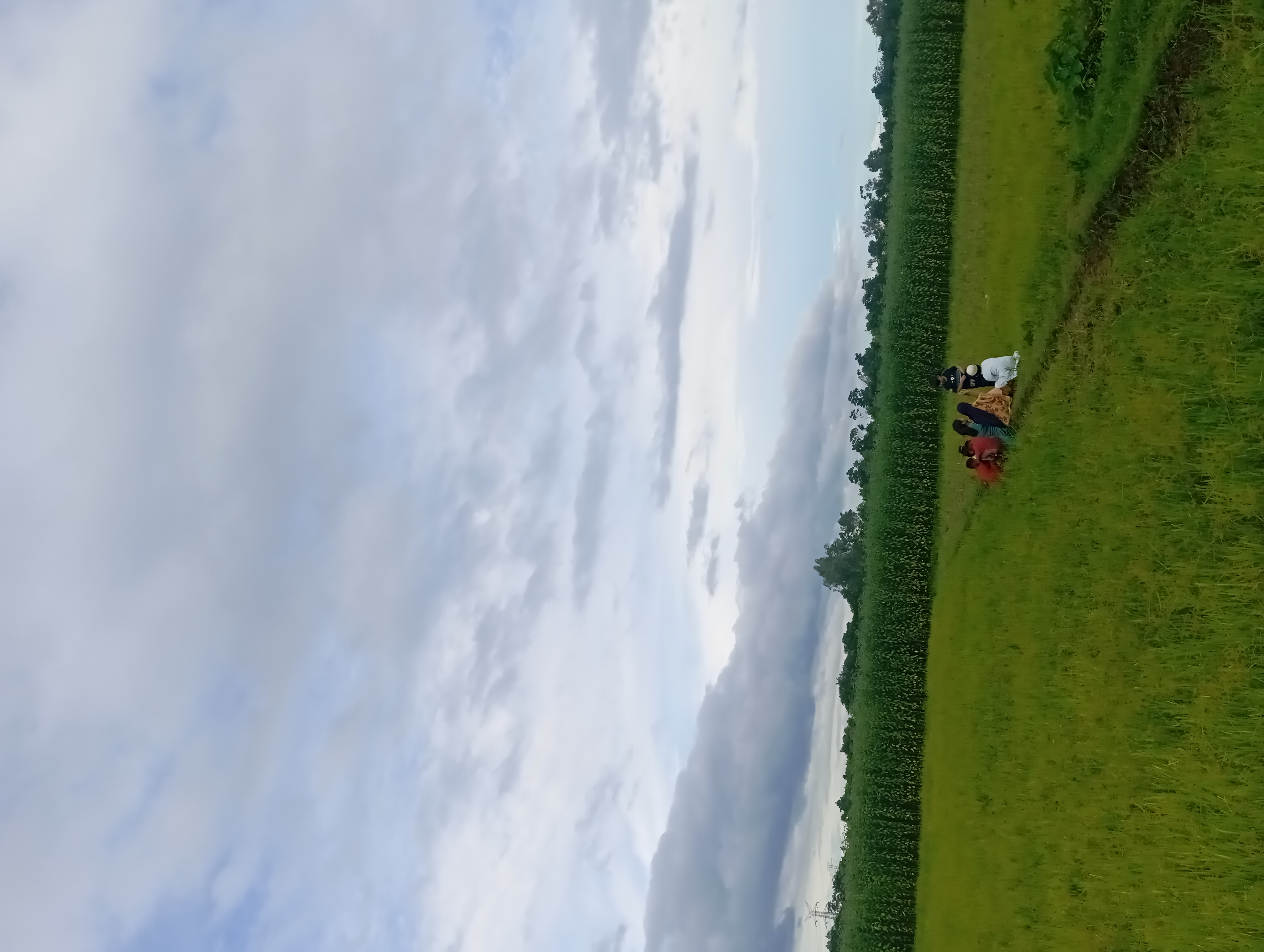 IMG_20250725_162739.jpg