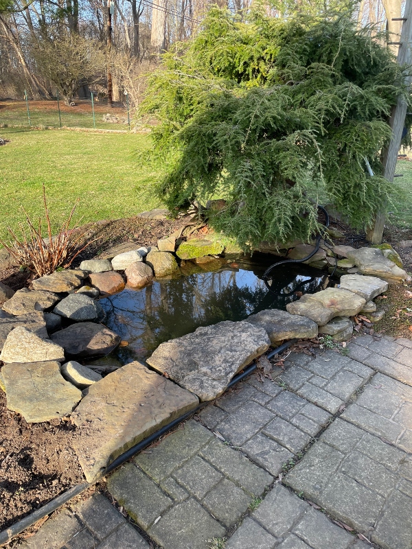 hive-garden-pond.jpg