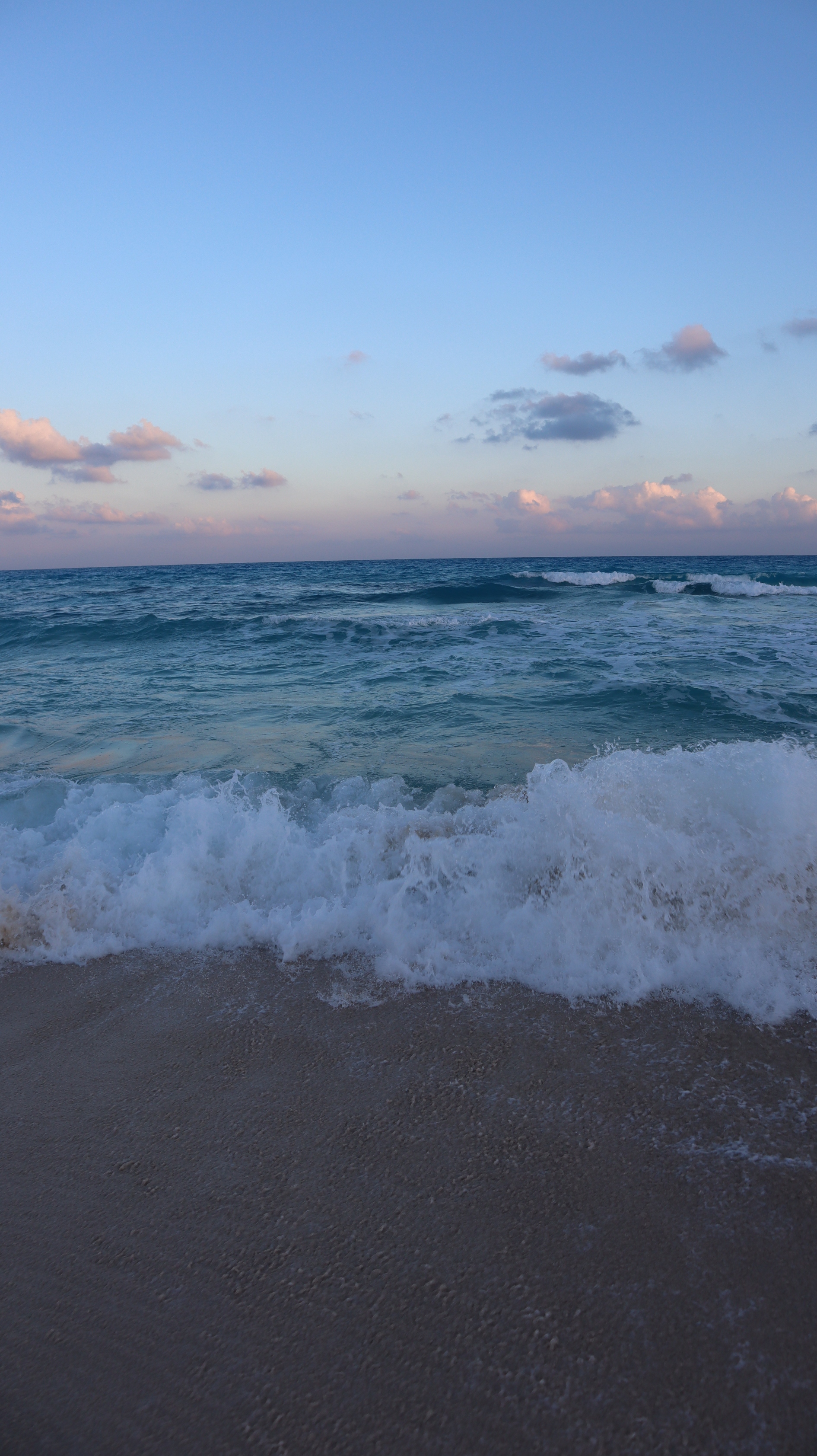 IMG_2904_copy_1891x3368.jpg