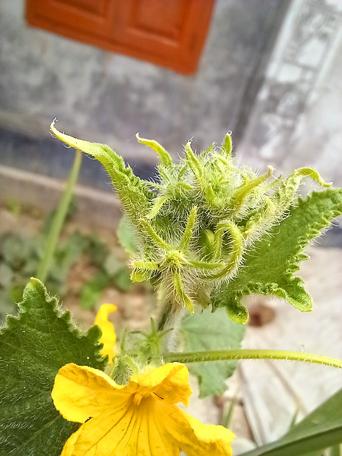 20220715_110113.jpg