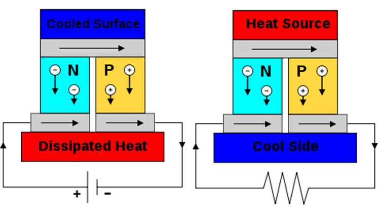 Seedbeck Effect Illustration