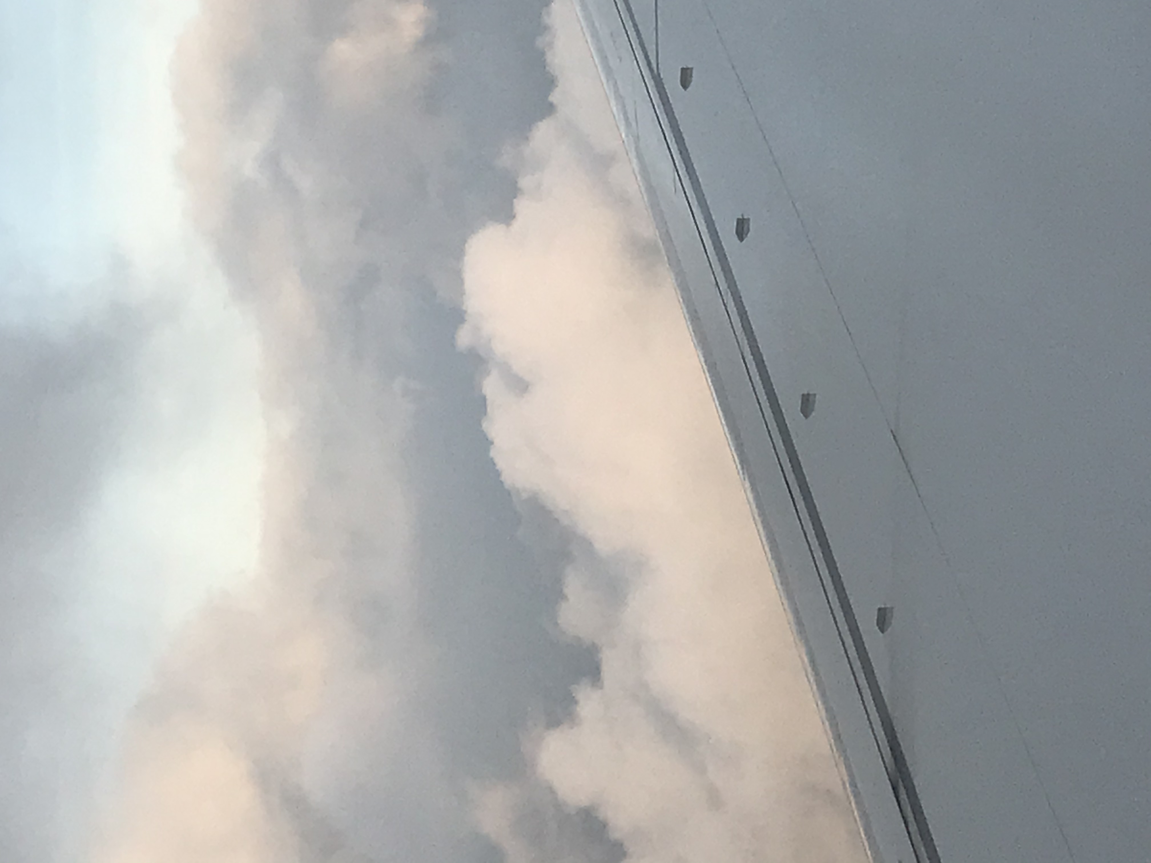 IMG_5919.jpeg