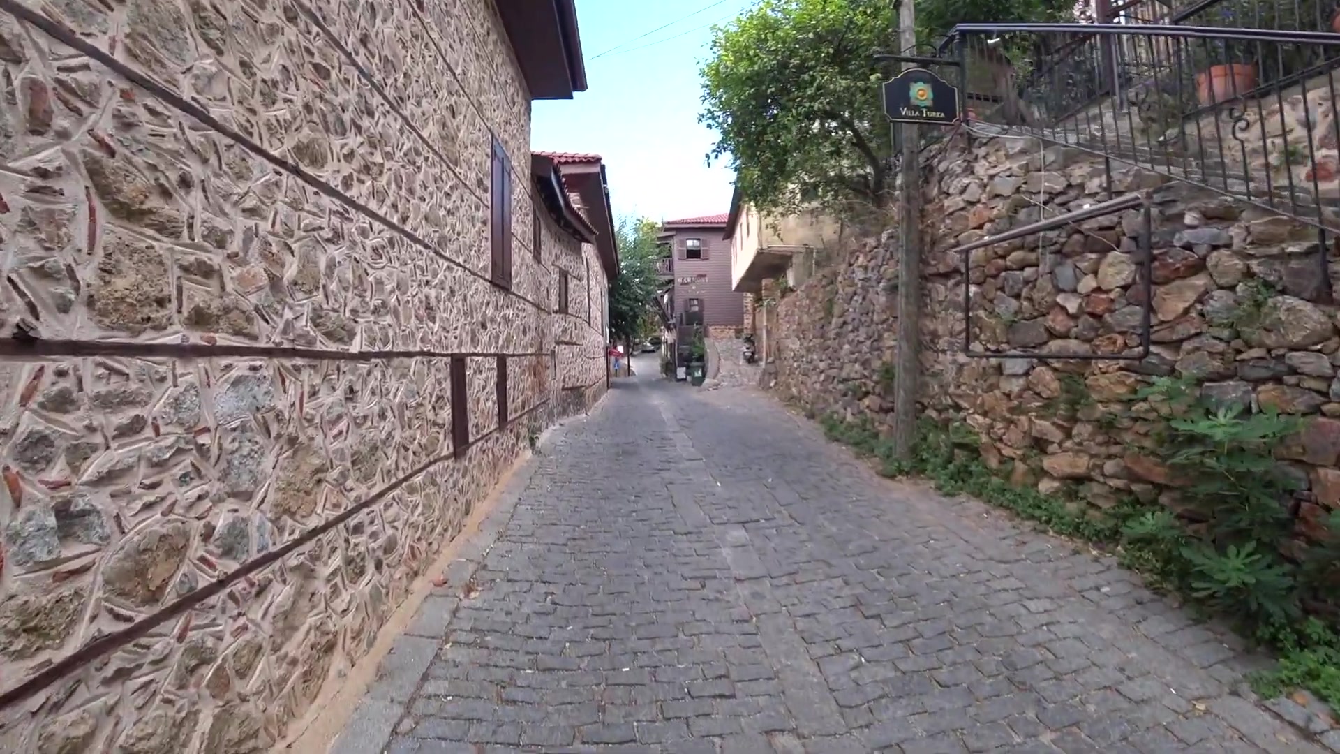 215.jpg