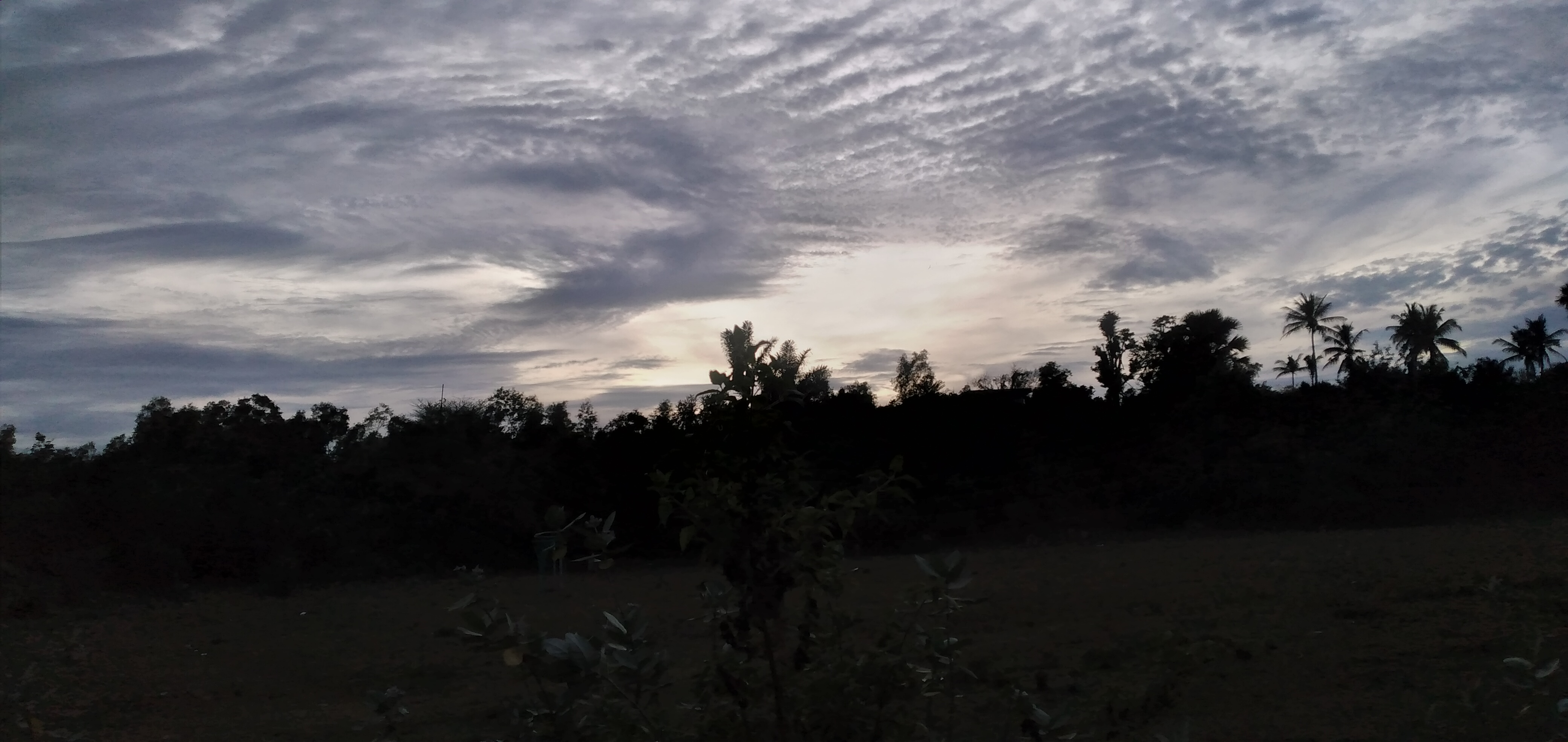 20230123_184229.jpg