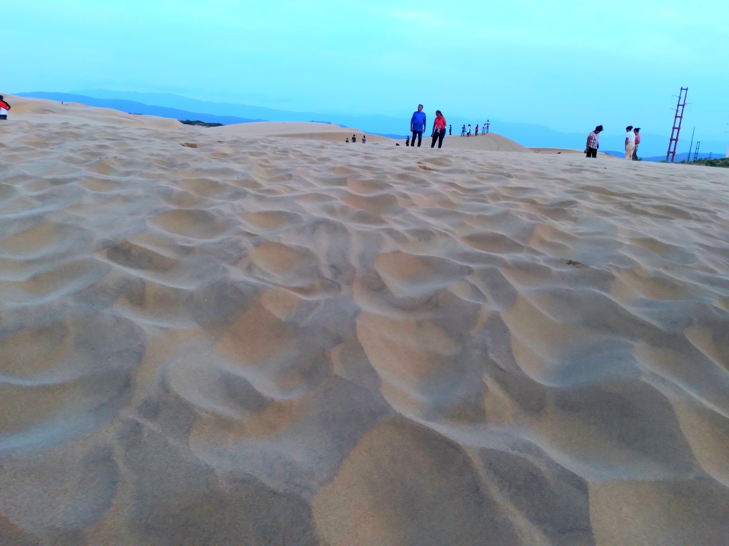 20250830_184135.jpg