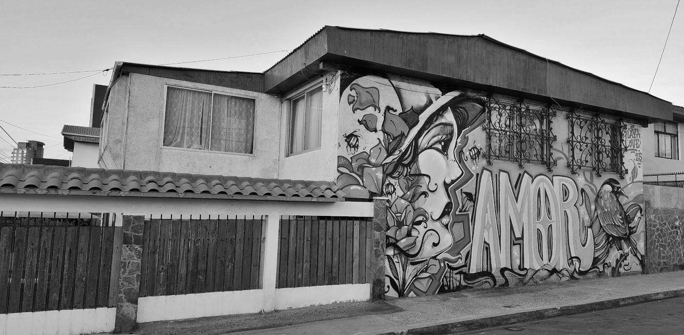 antofagasta-streetart-263-bw.jpg