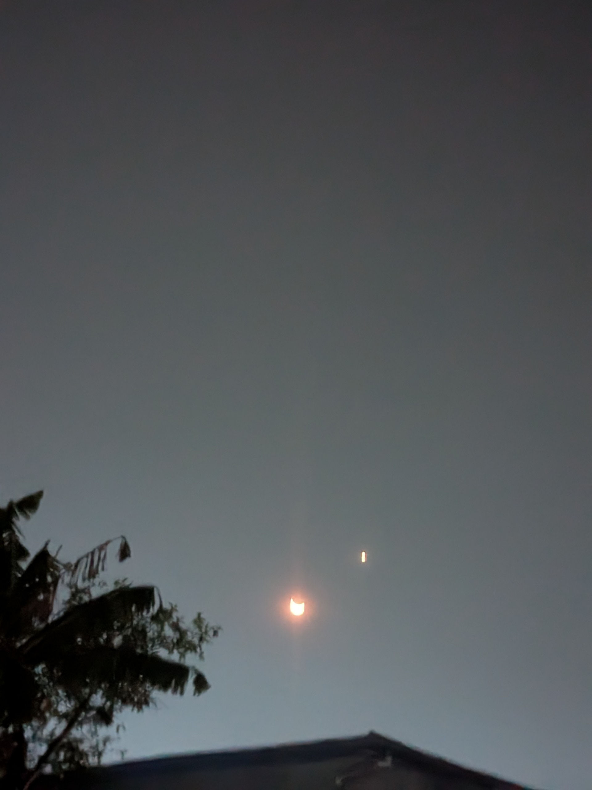 1000598719.jpg