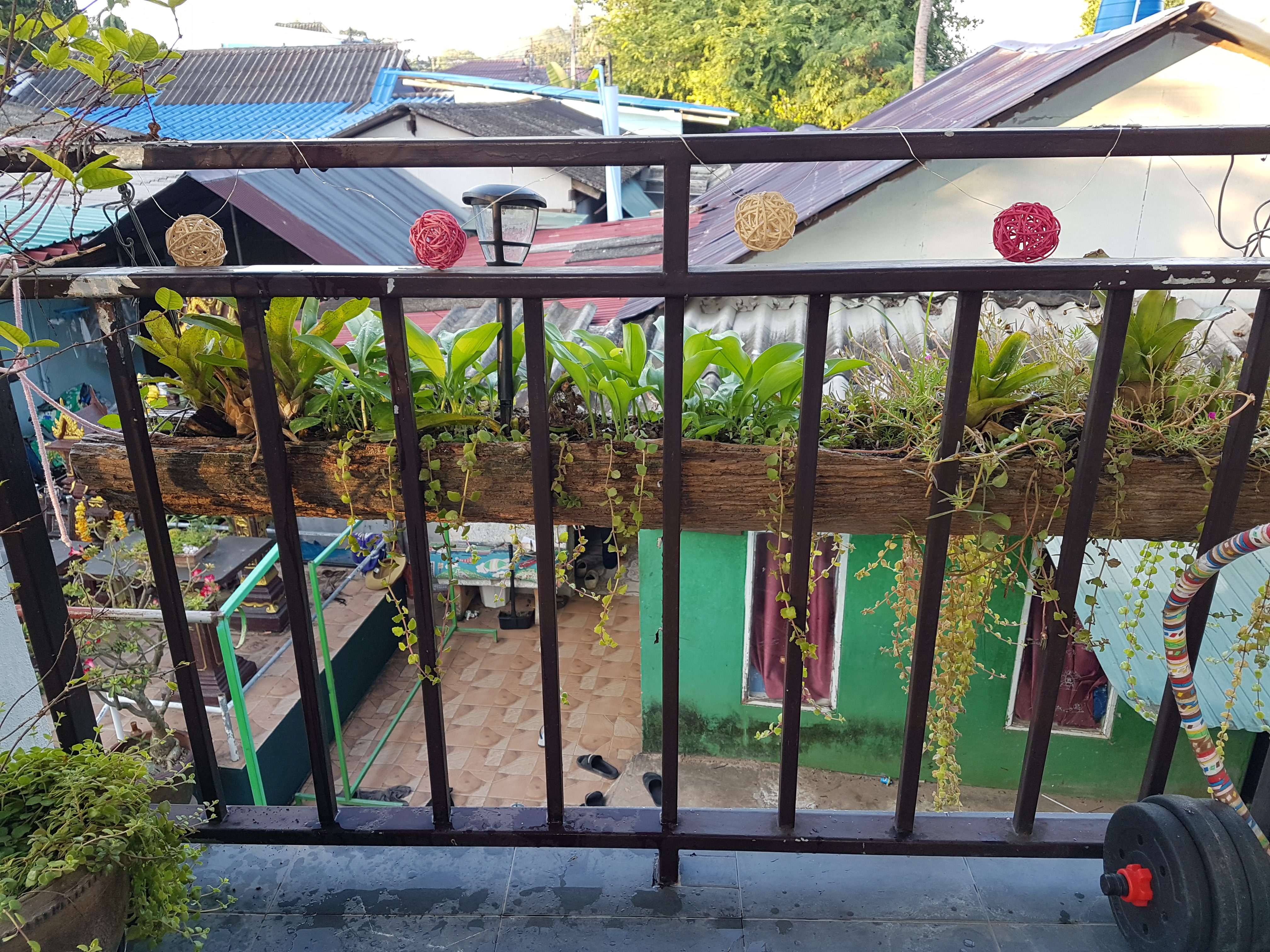 20201229_071253.jpg