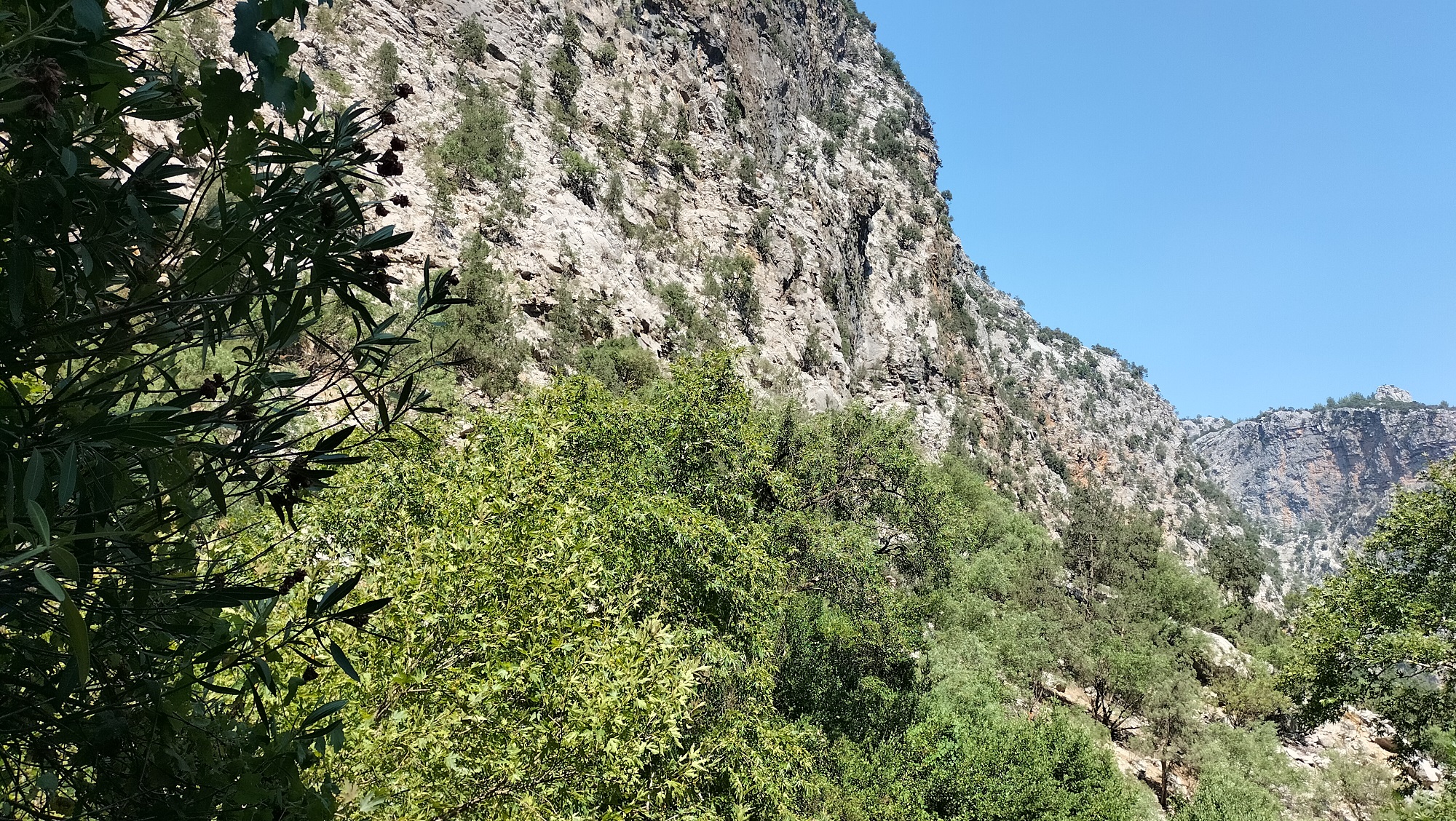 IMG20250805150317.jpg