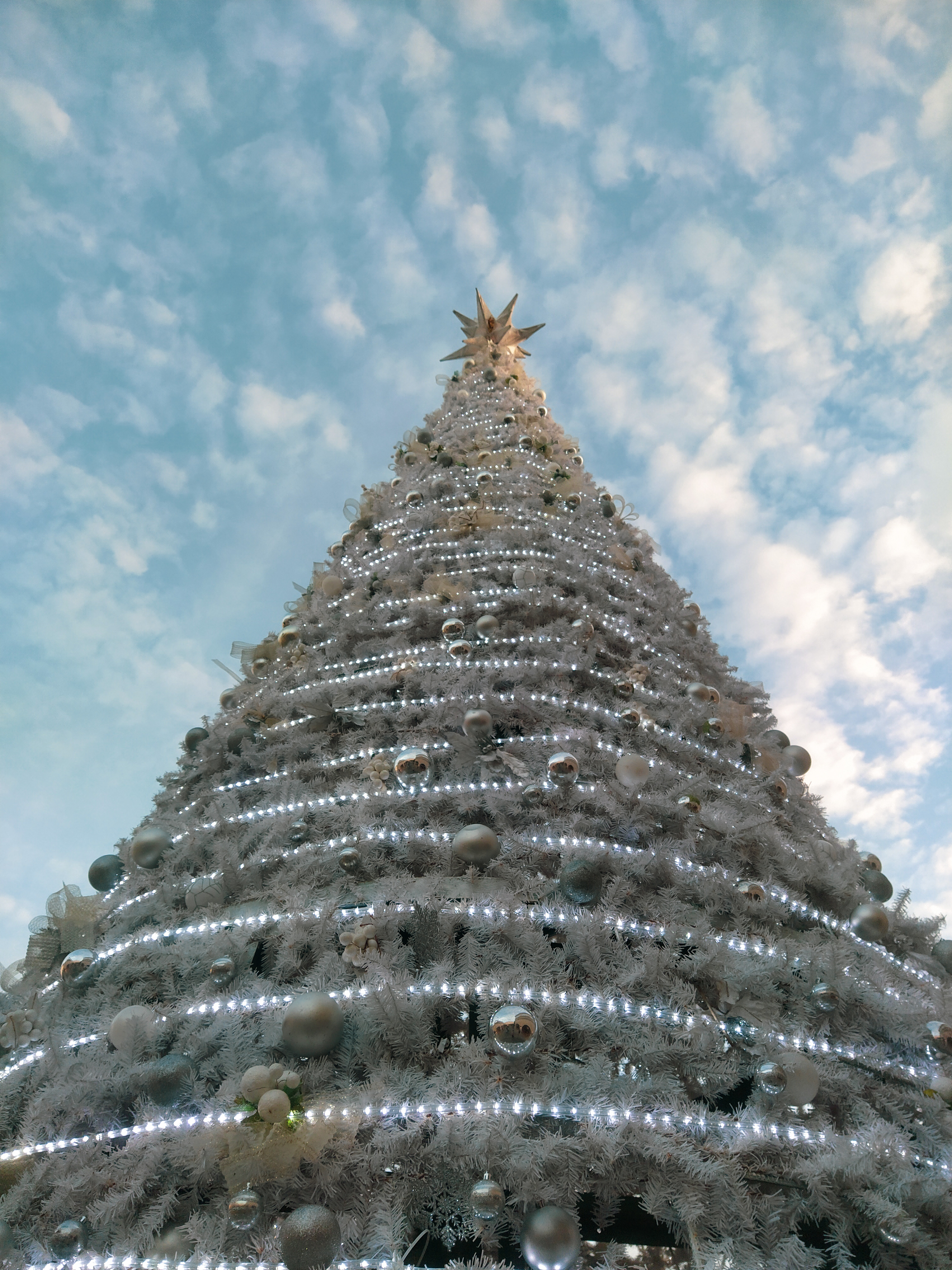  "Acienda Designer Outlet - Big White Christmas Tree.jpg"