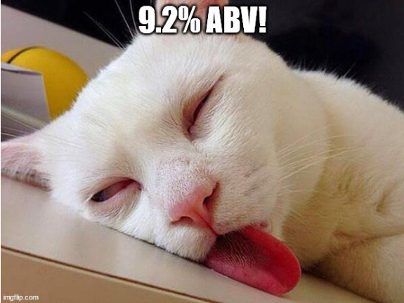 Screenshot 2021-12-04 at 15-10-55 drunk cat boeing Meme Generator - Imgflip.png