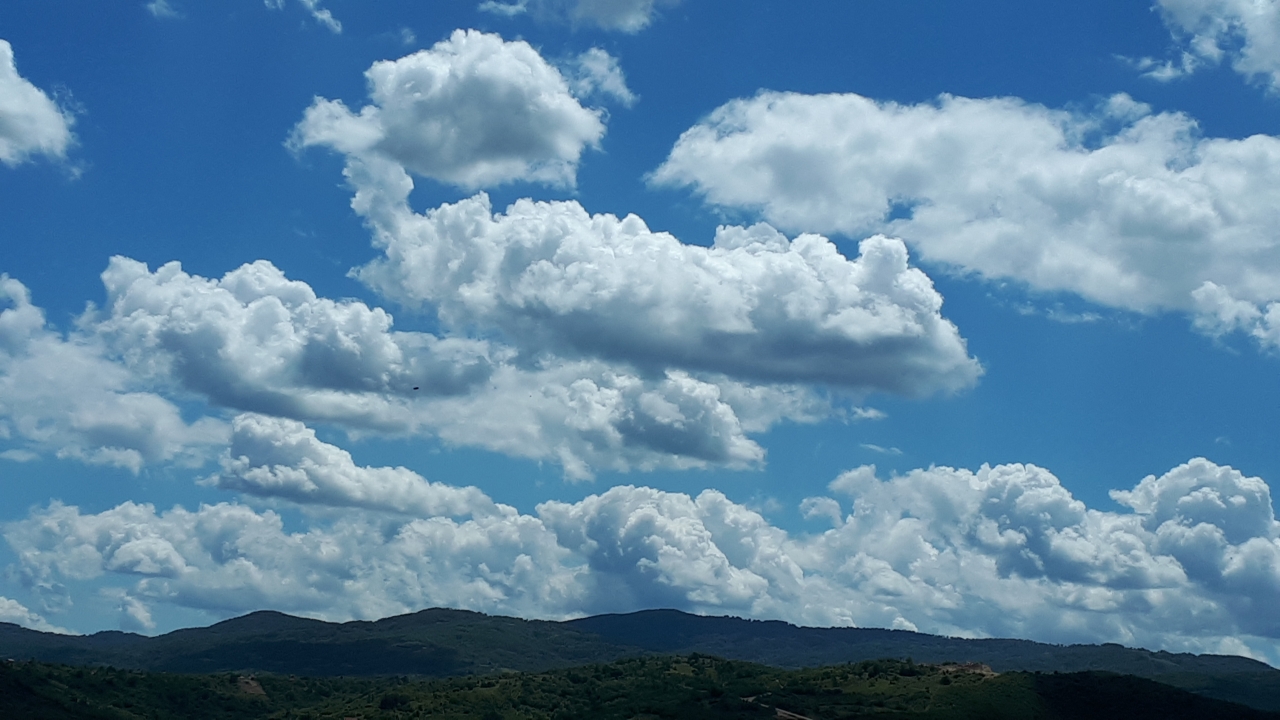 20250518_132152.jpg