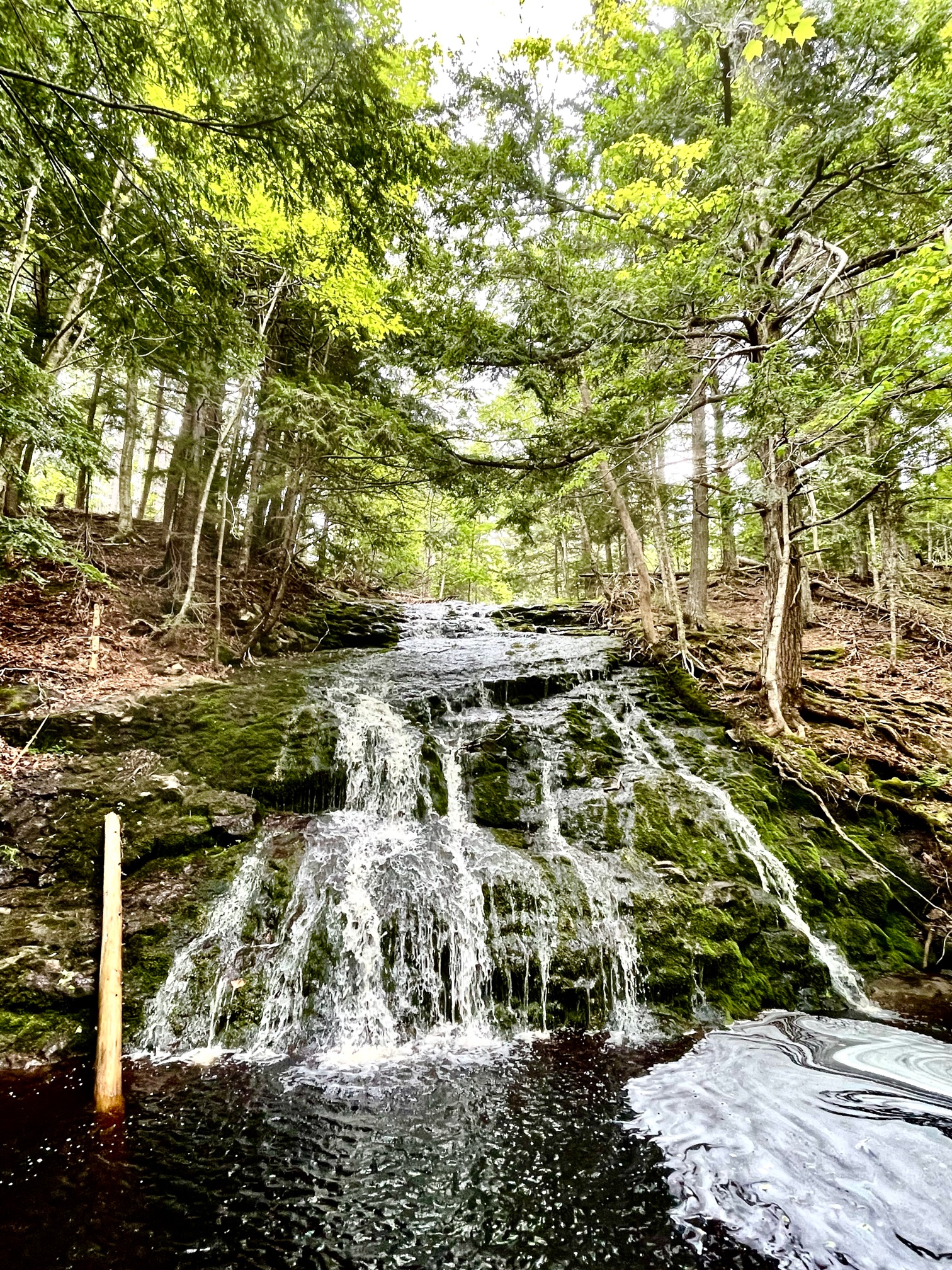 The Refreshing Waterfall 爽やかな滝　[English and Japanese]