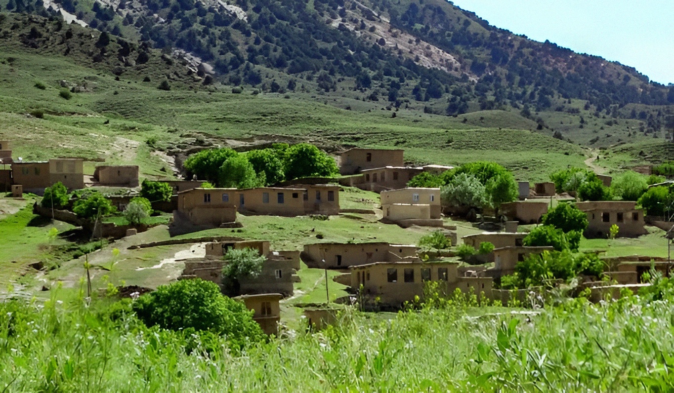 1754156894326_3krbfr_2_0.jpg