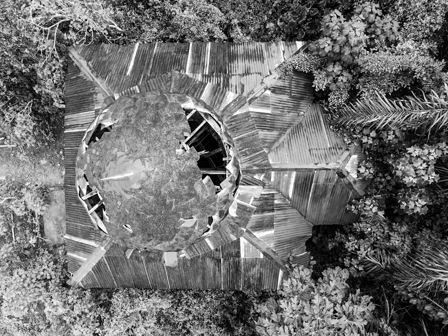 dji_fly_20221022_150128_483_1666445524511_photo.jpg