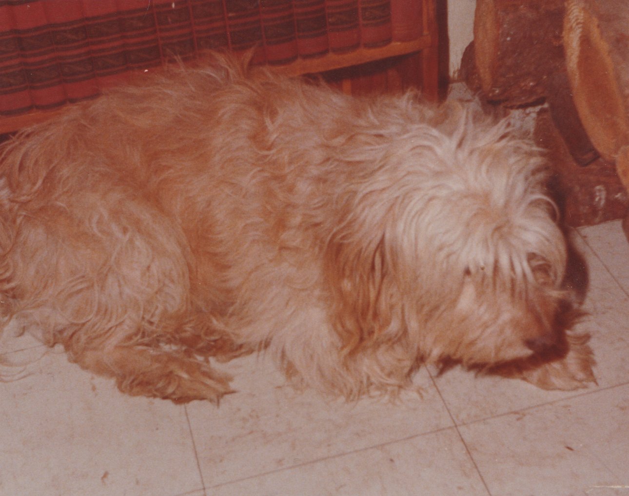 1974 - Walter Hunter (and his dog), the dad or grandpa of Ron who married Marilyn Morehead, she thinks this is from that year, 2pics-2.png