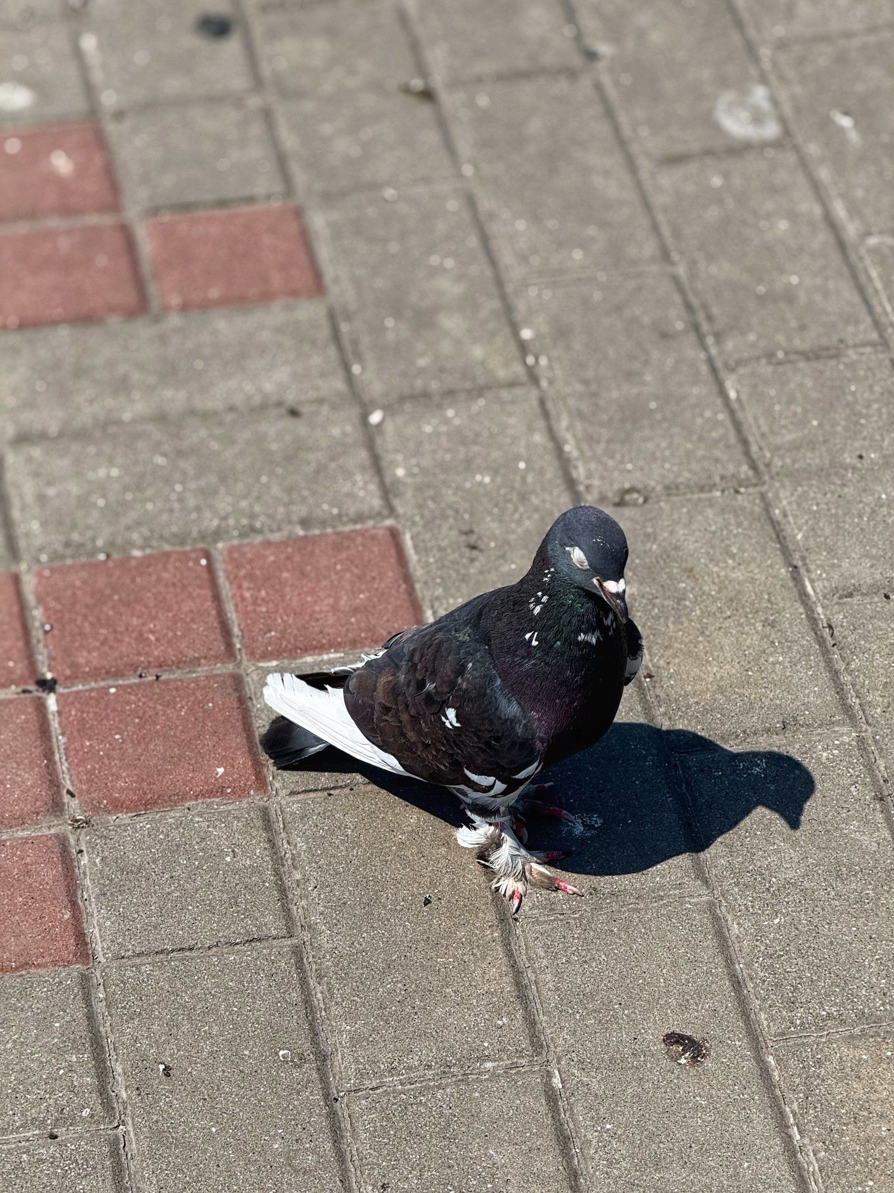 IMG_4638.jpeg