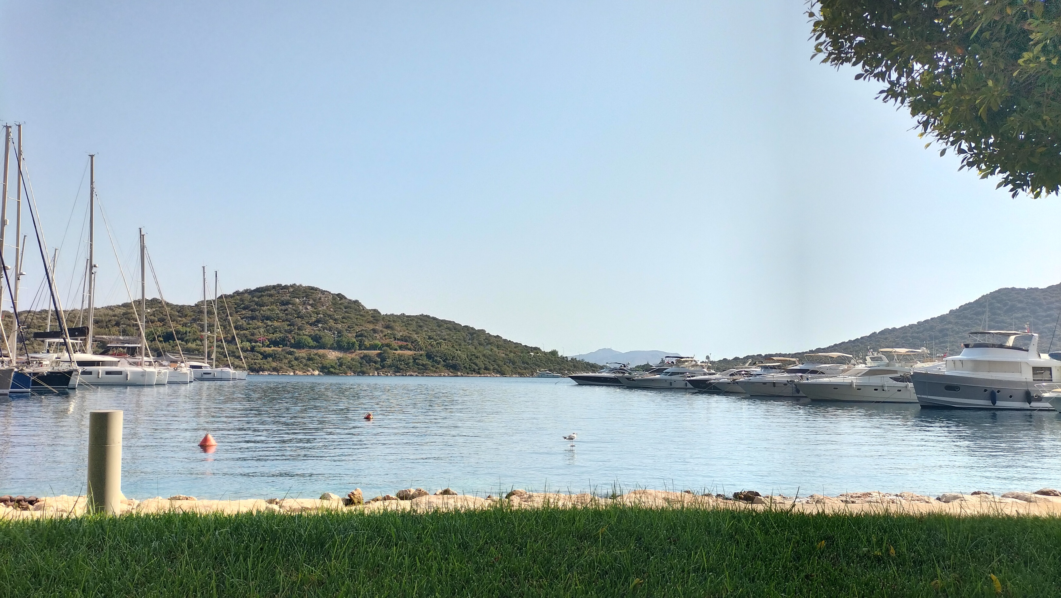 IMG20250727165940.jpg
