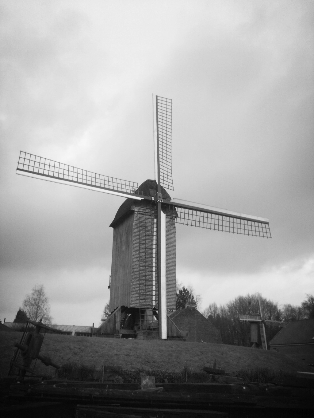 20250523_191555.jpg