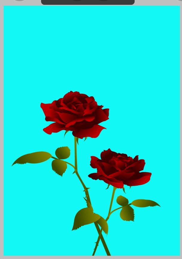 Screenshot_20250604-132213.jpg