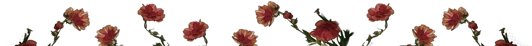 separador.png