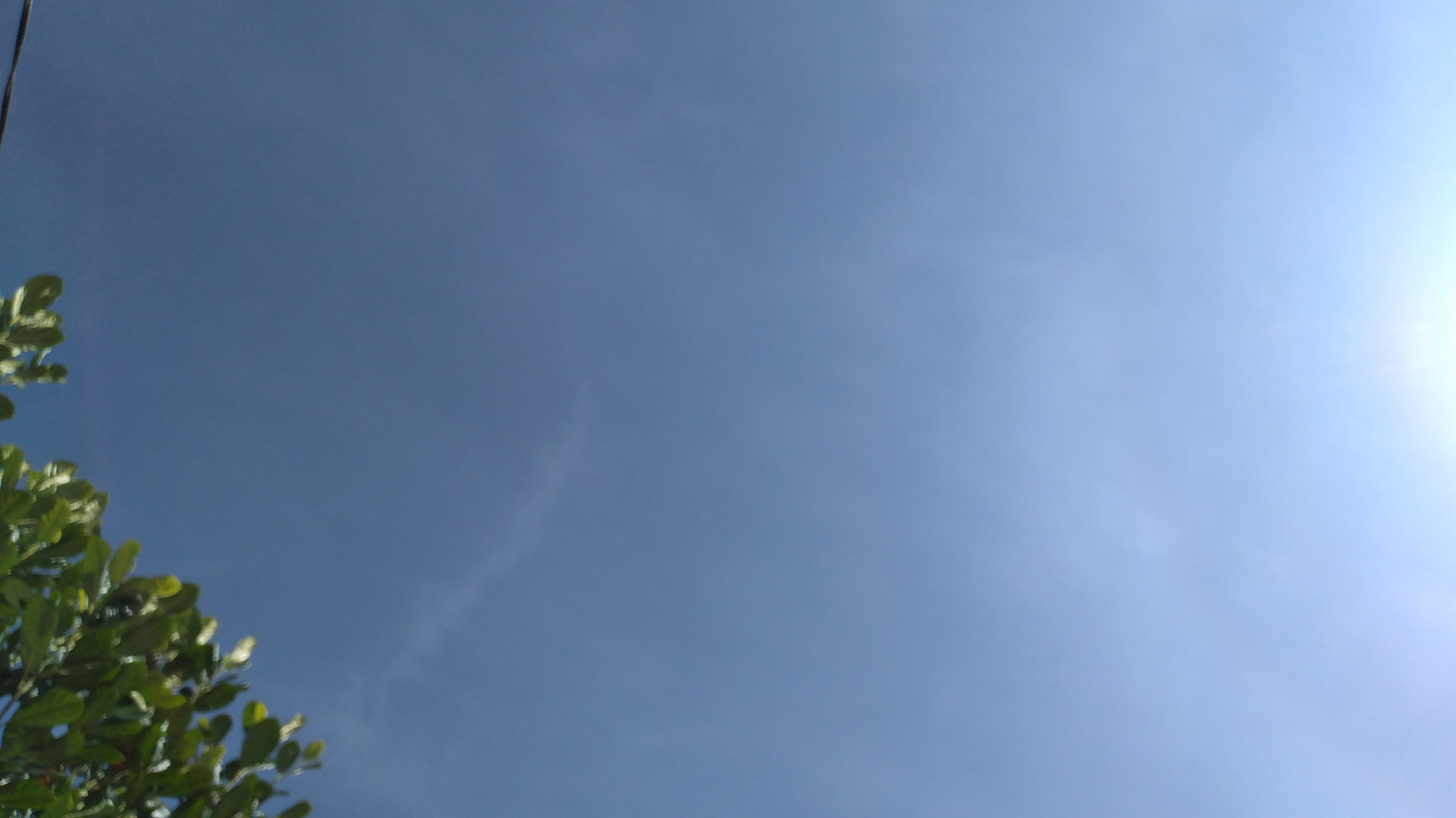 20220917_091706.jpg