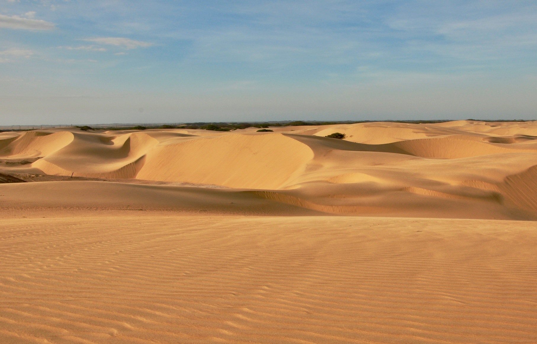 Medanos de Coro.jpg