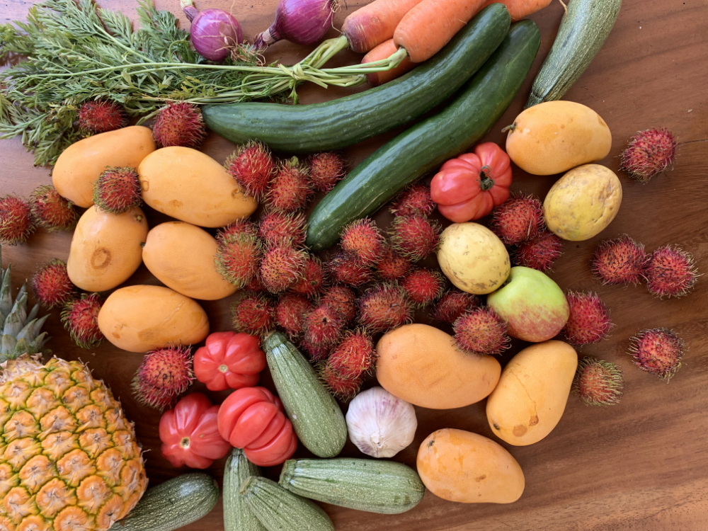 Fruit haul.jpg