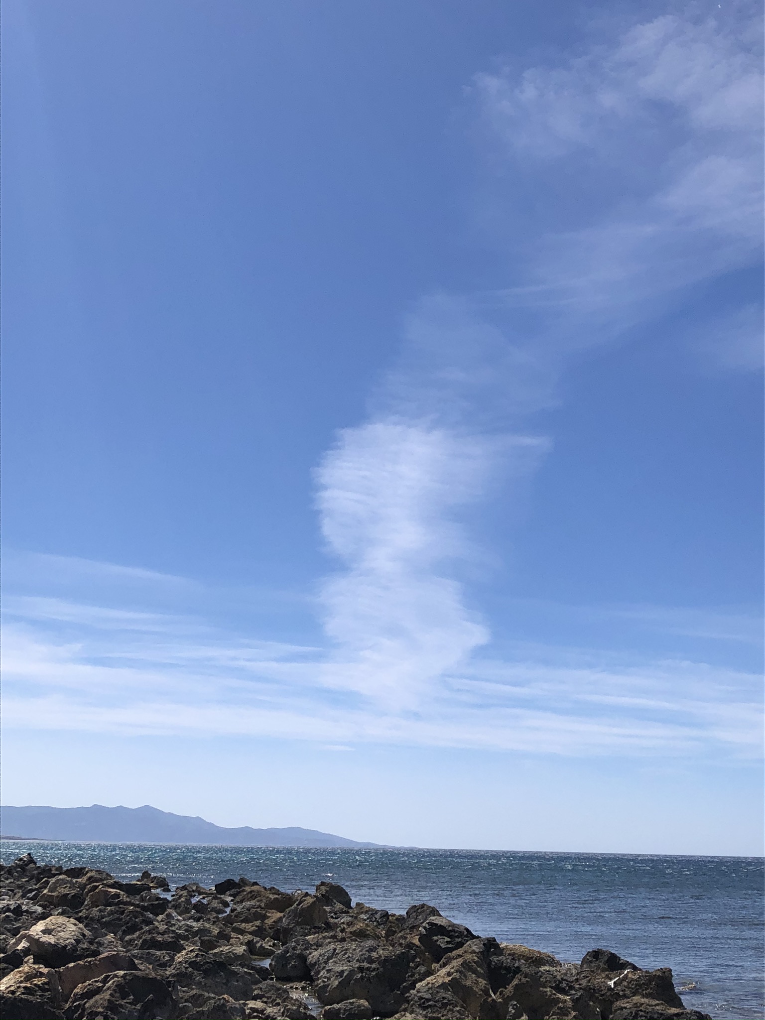 IMG_5244.jpeg